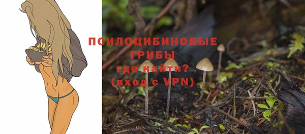 прущие грибы Майский