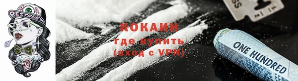 прущие грибы Майский