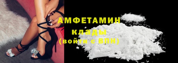 прущие грибы Майский