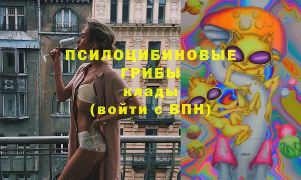 амф Магас