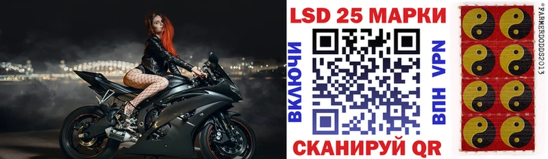 Марки 25I-NBOMe 1,8мг купить наркоту блэк спрут как зайти Елизаветинская