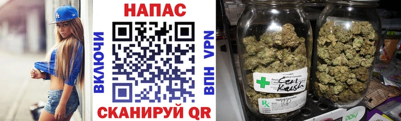 Каннабис ГИДРОПОН  купить наркотики сайты  Елизаветинская 